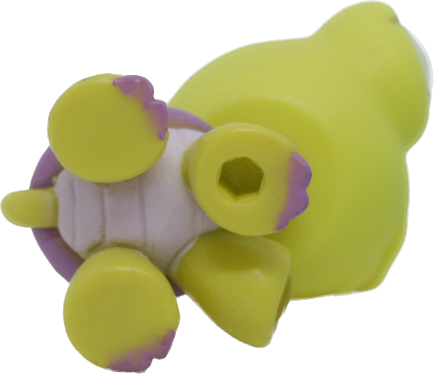 #1886 Turtle
