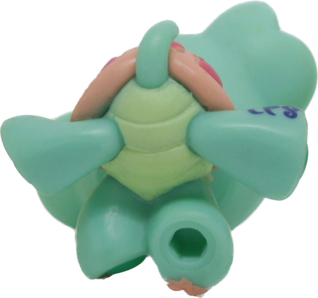 #1887 Turtle