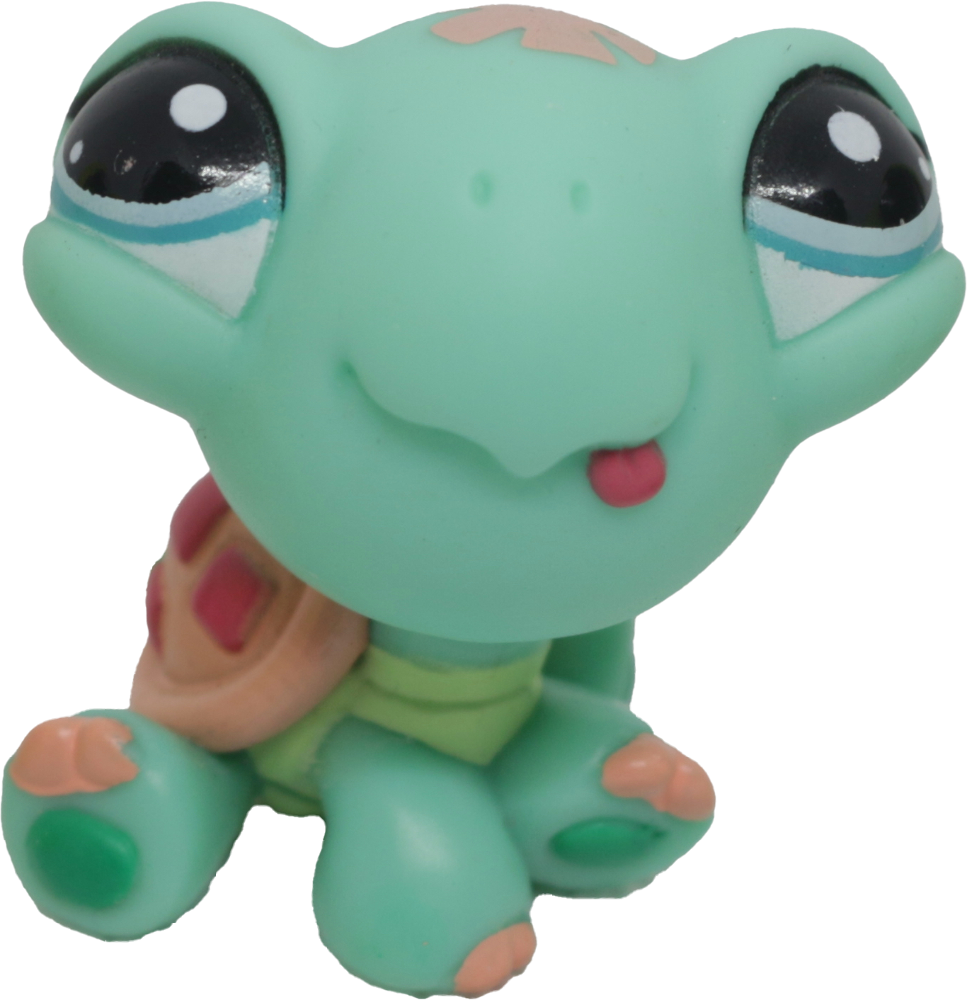 #1887 Turtle