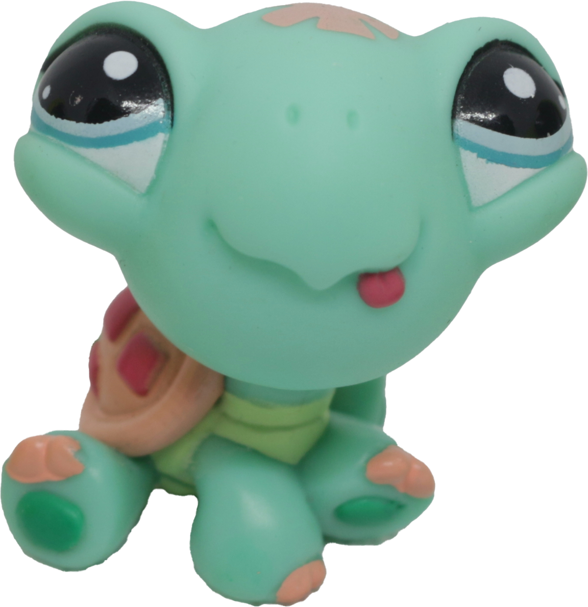 #1887 Turtle