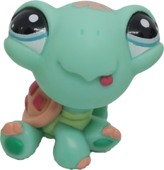#1887 Turtle