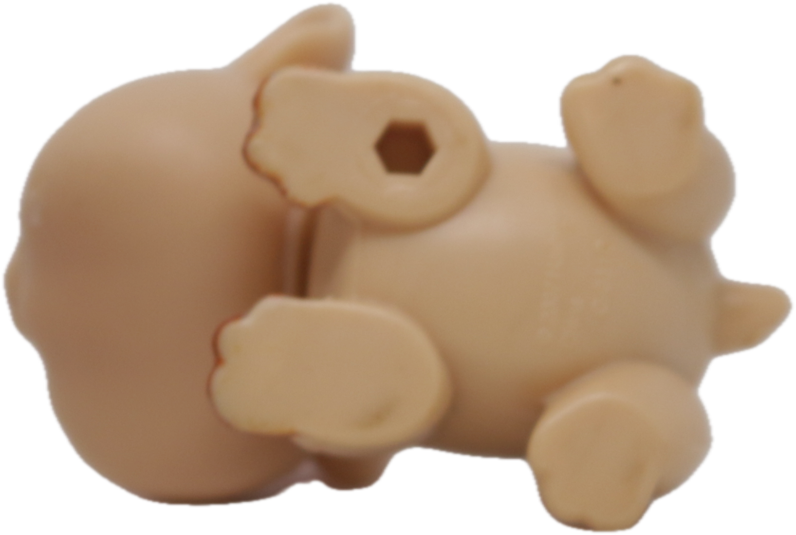 LPS #1932 Guinea Pig