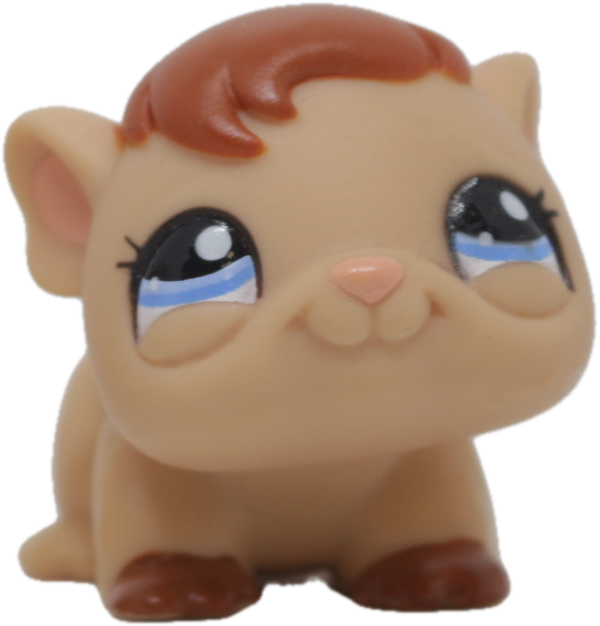 LPS #1932 Guinea Pig