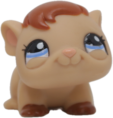 LPS #1932 Guinea Pig