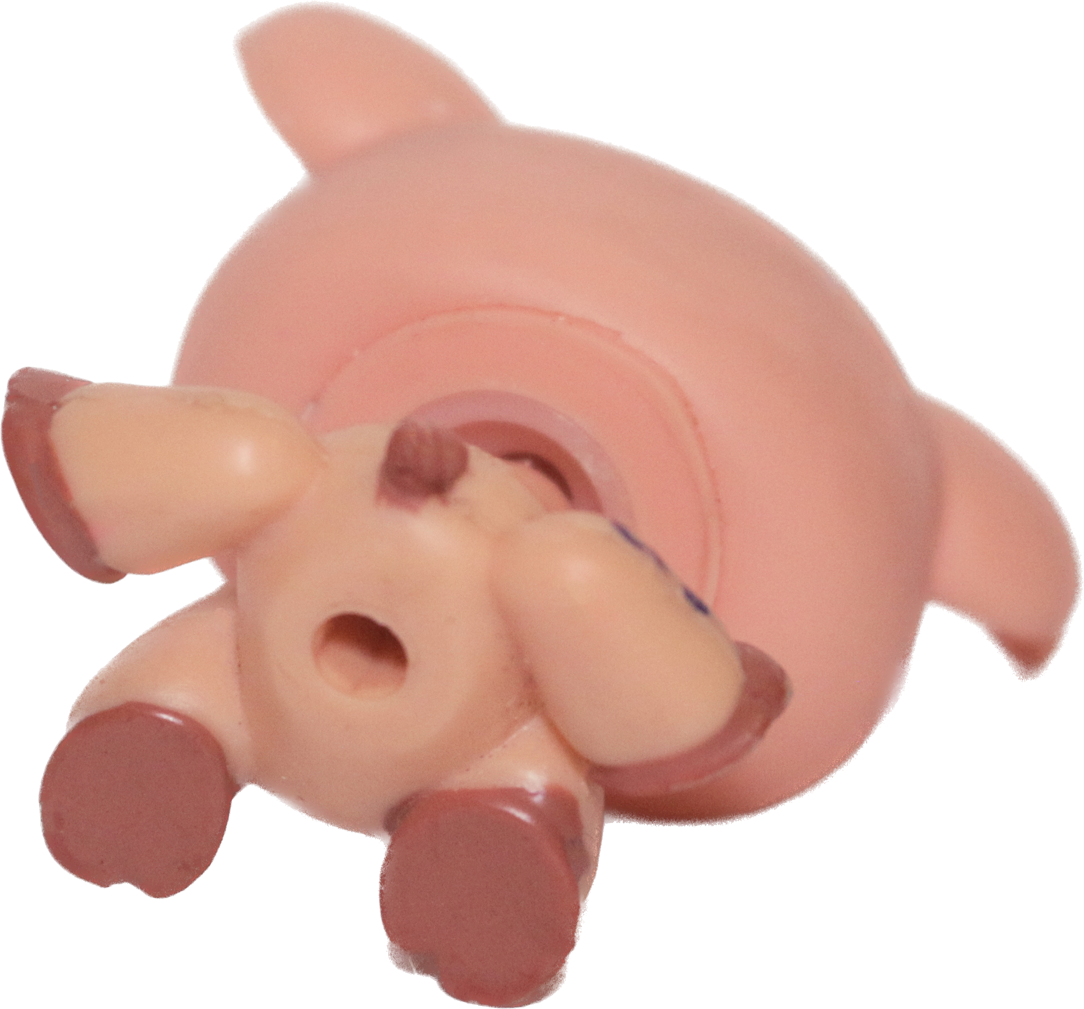#1934 Pig