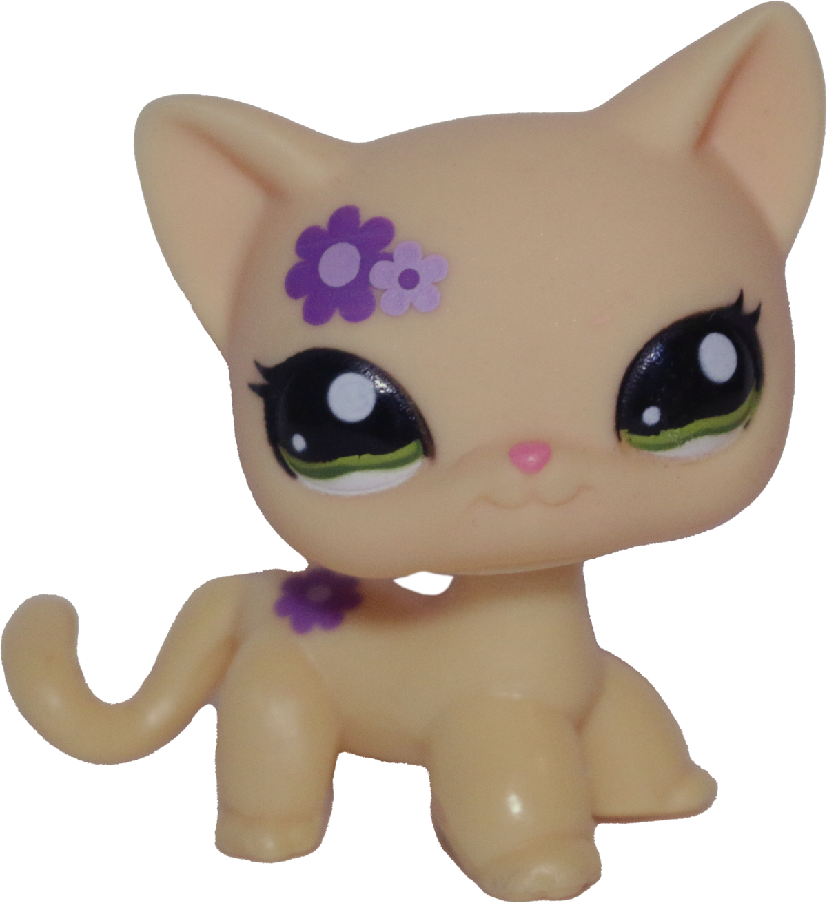 #1962 Shorthair Cat