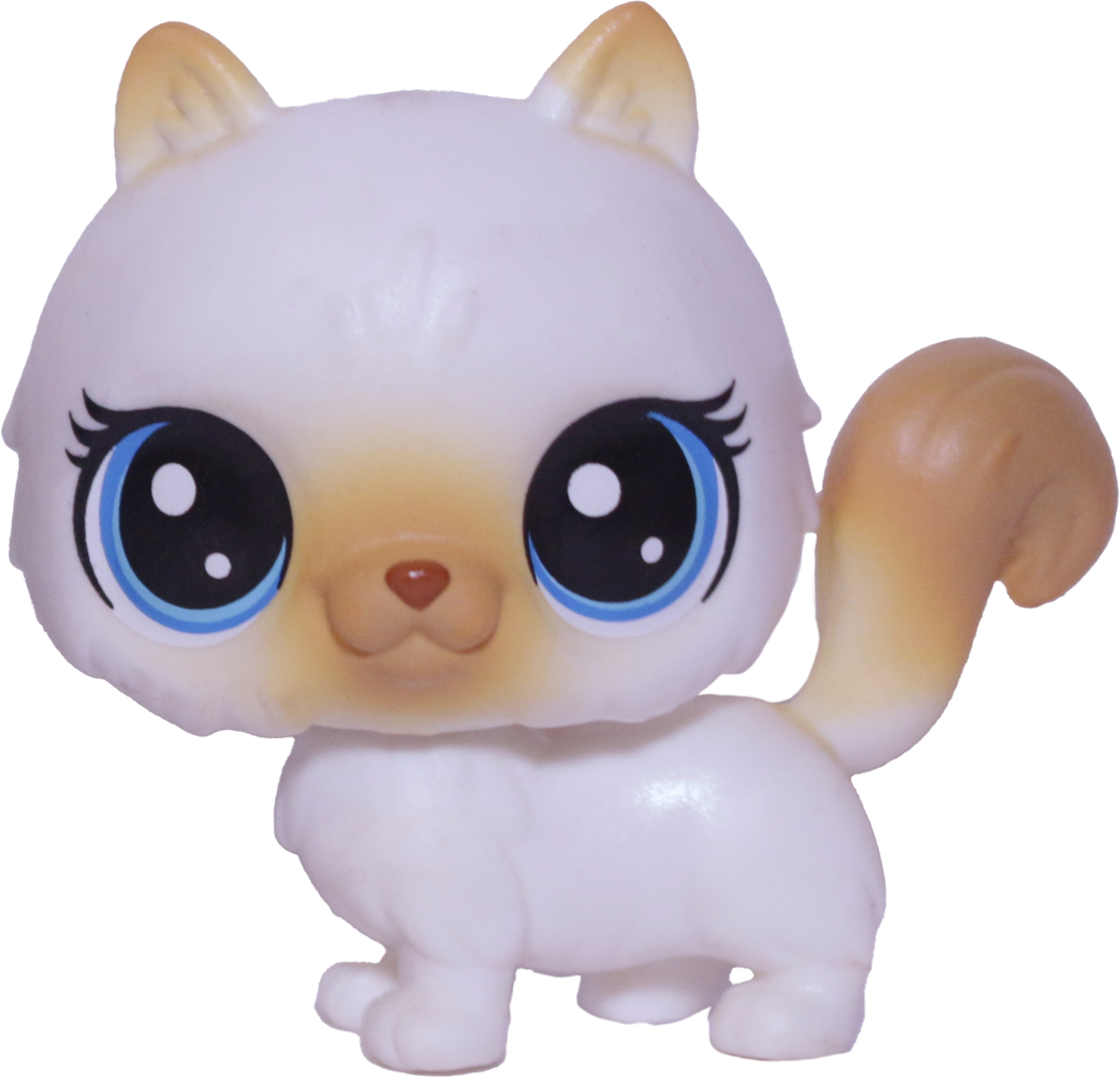 #1-104 Himalayan Cat "Himalia Cattrick"