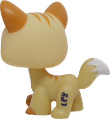 #2034 Destiny Cat