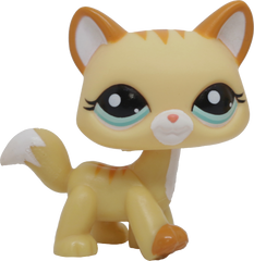 #2034 Destiny Cat
