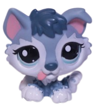#2036 Husky Puppy
