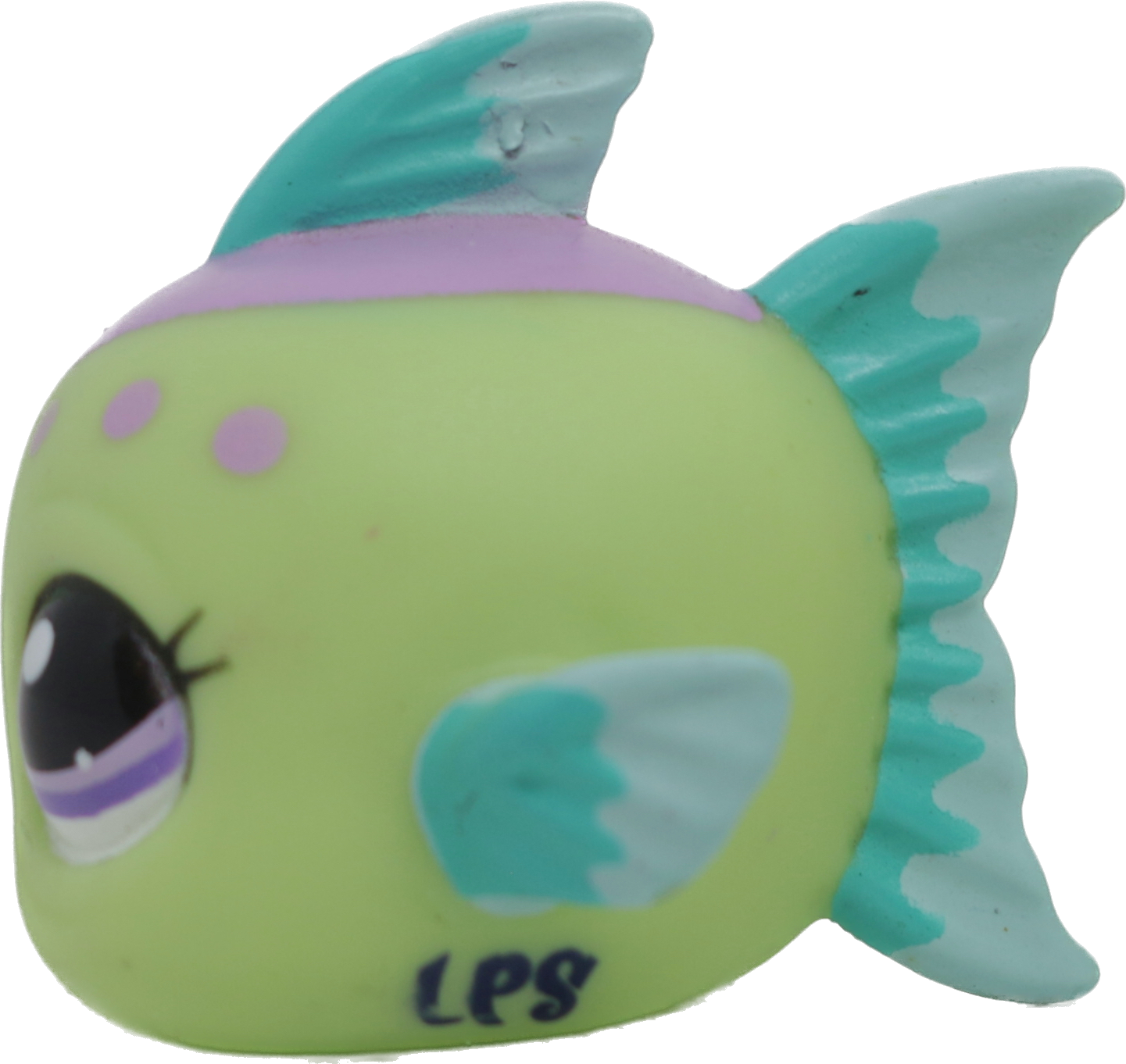 #2092 Fish