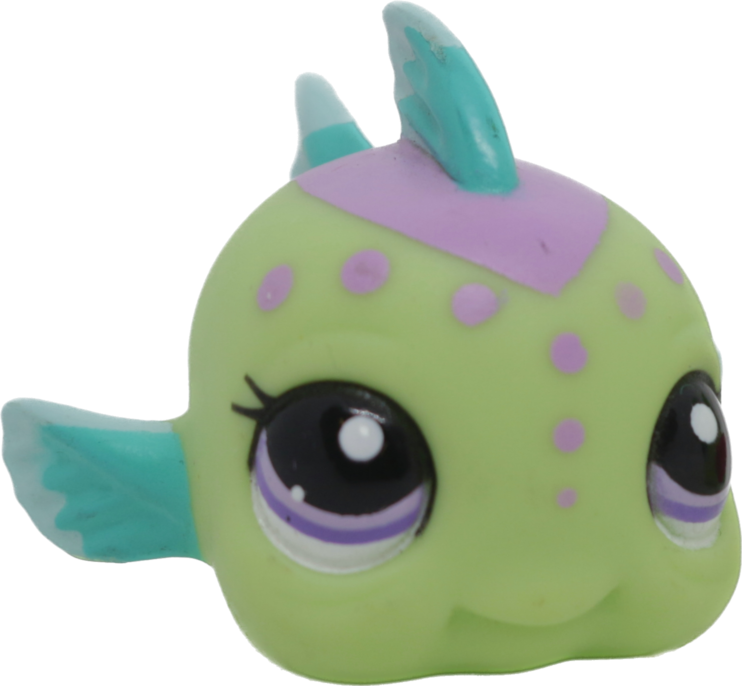 #2092 Fish