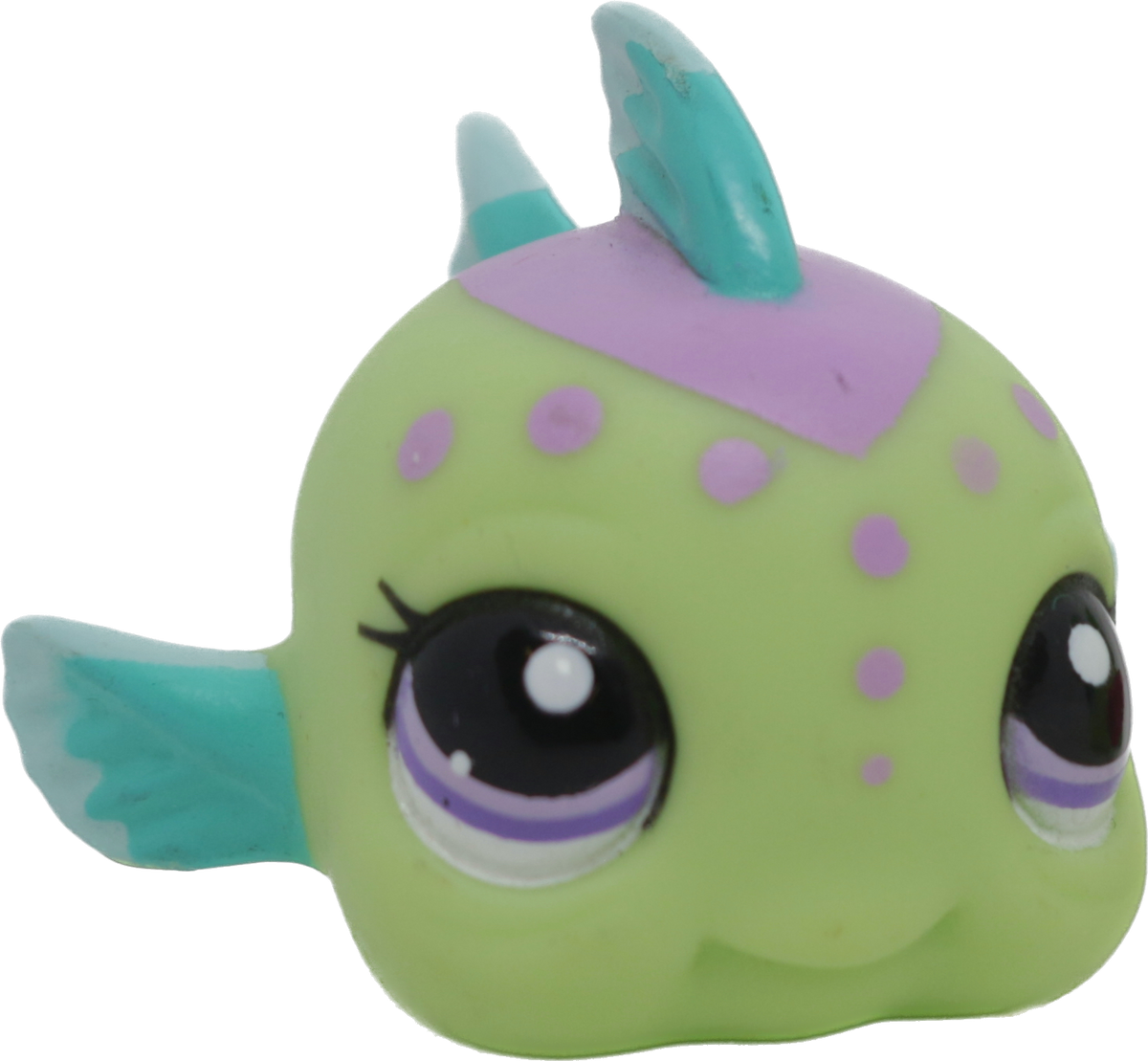 #2092 Fish