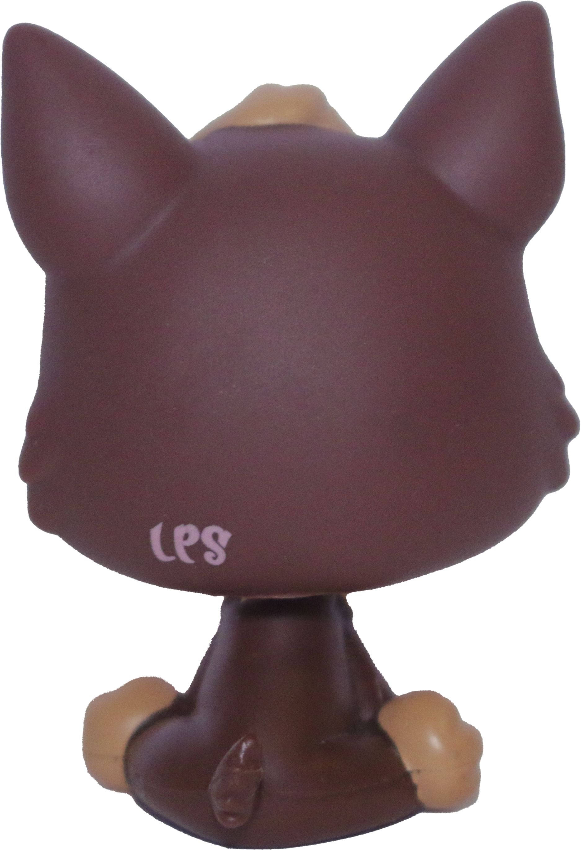 #2137 German Shepherd
