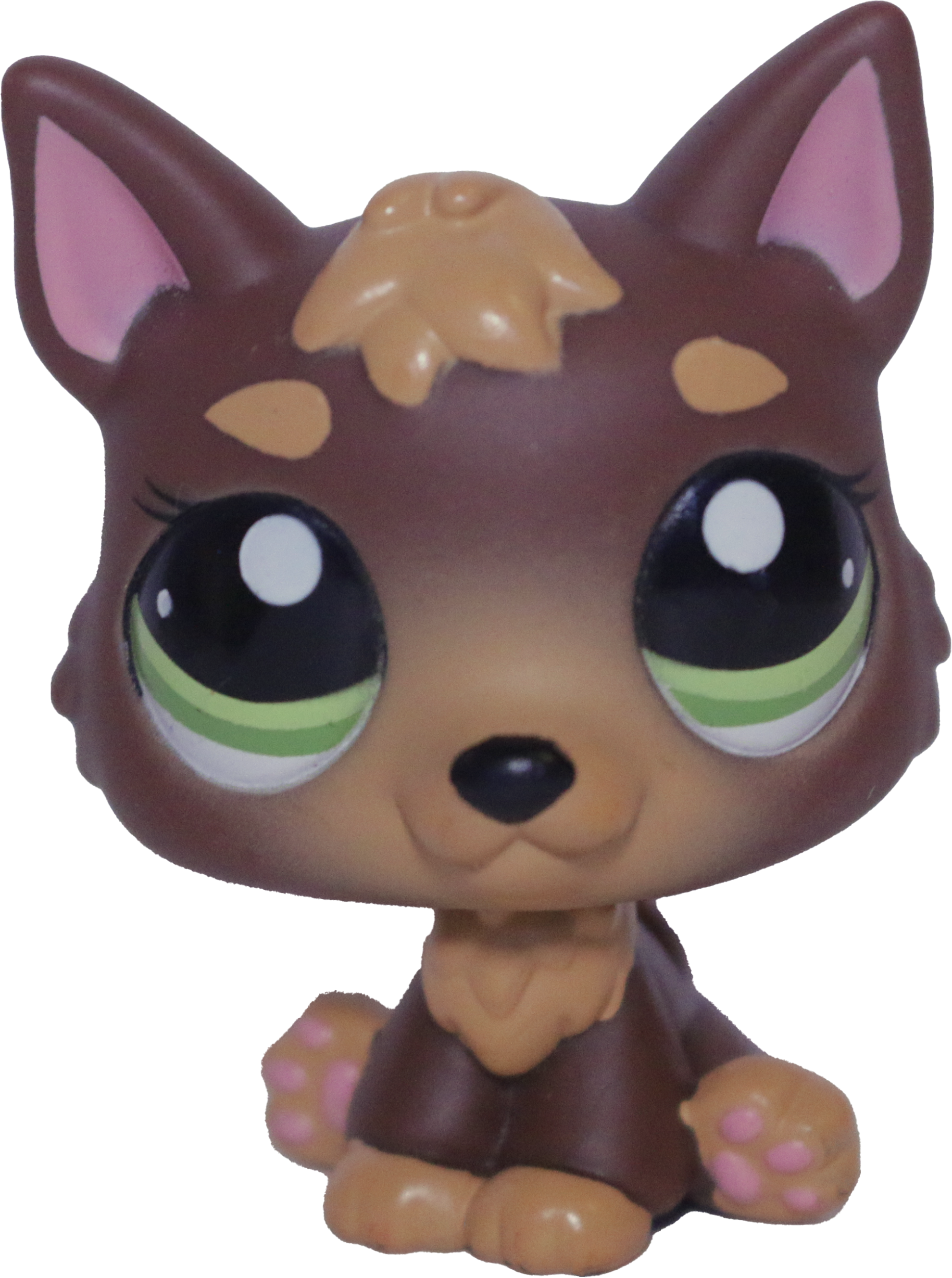 #2137 German Shepherd