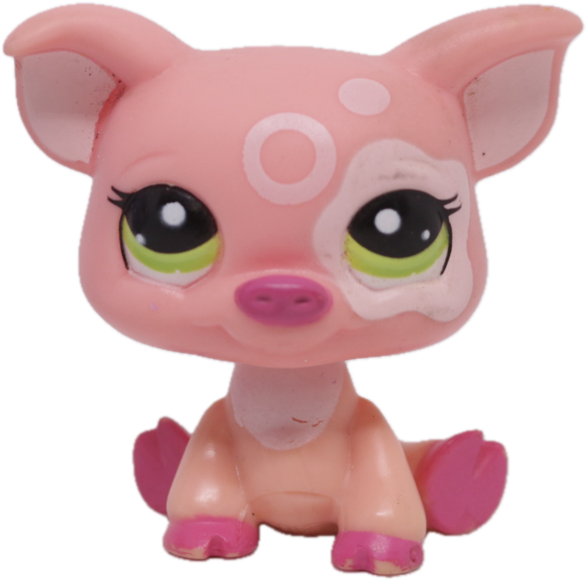 #2205 Pig