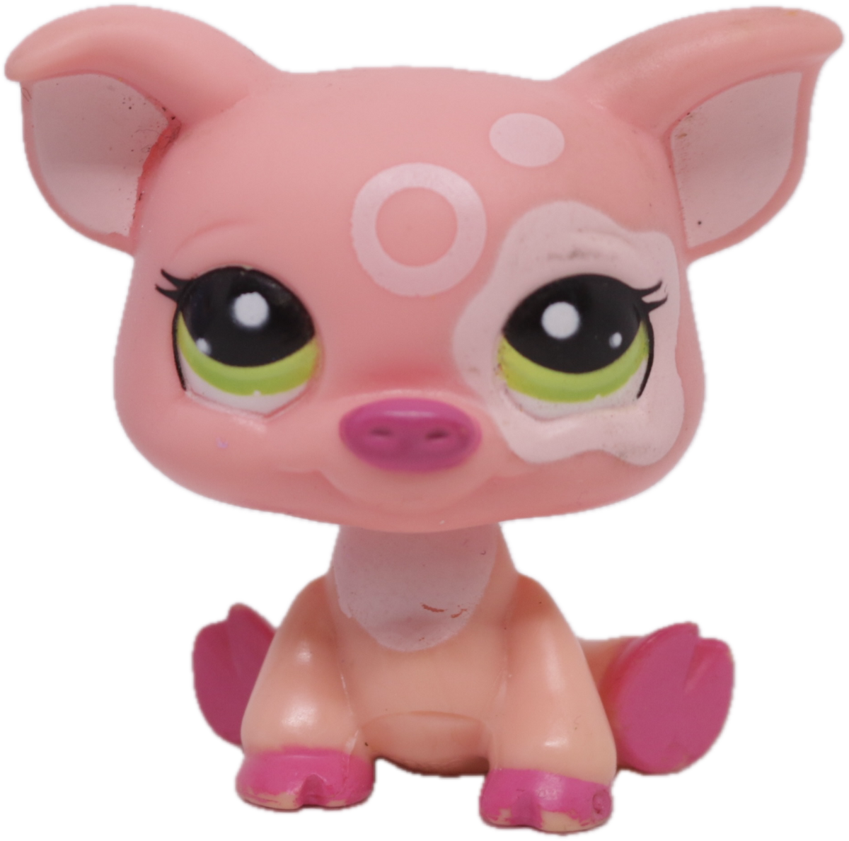 #2205 Pig