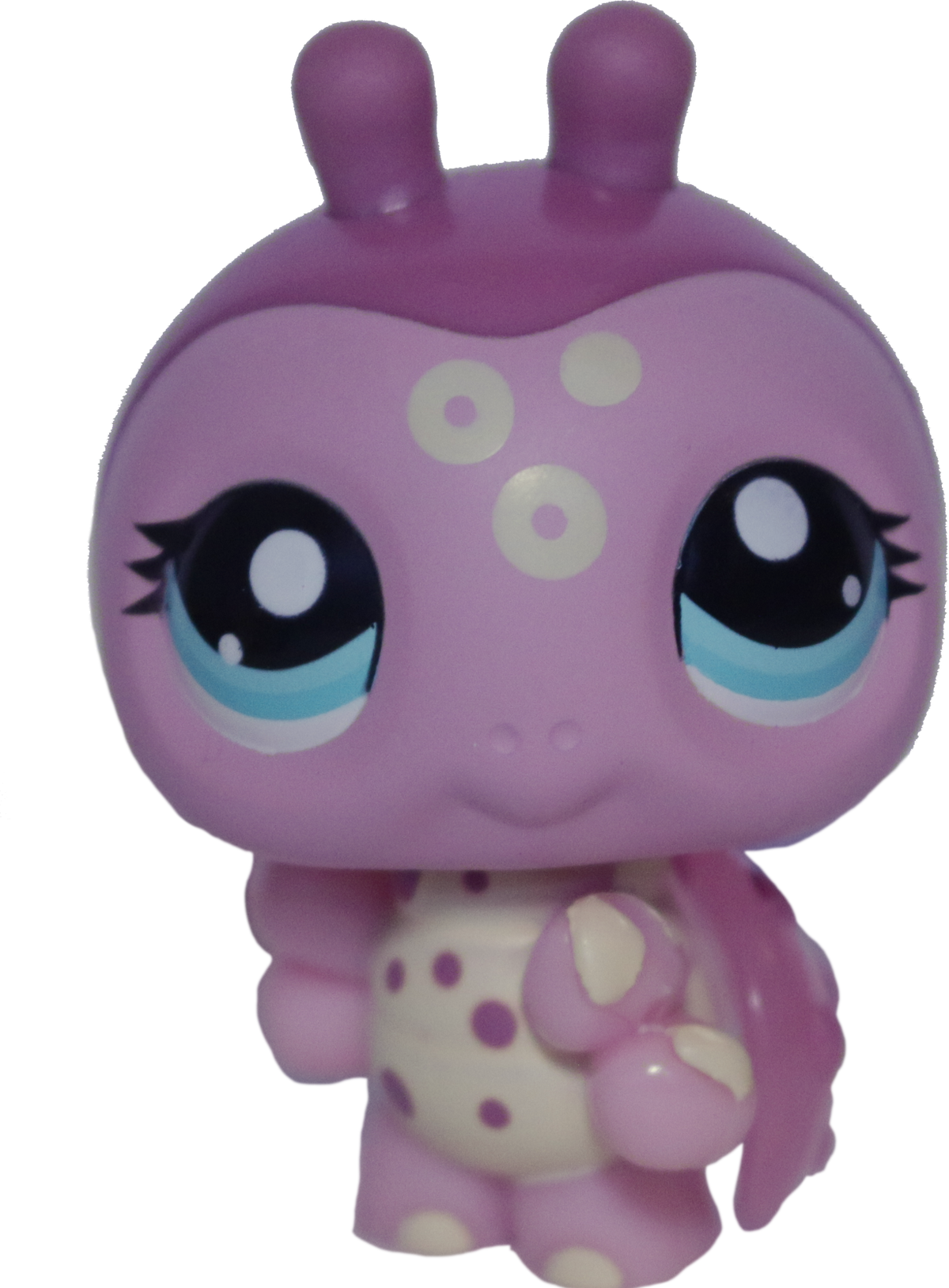#2308 Ladybug