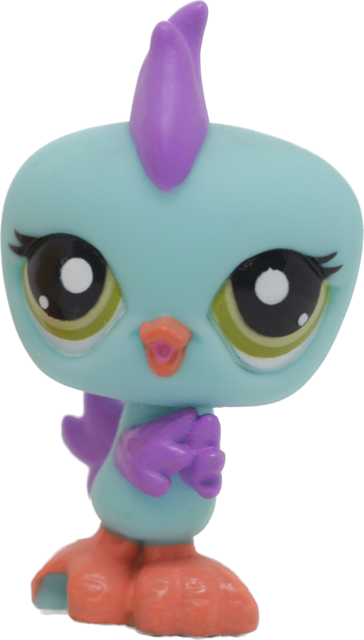 #2317 Parakeet