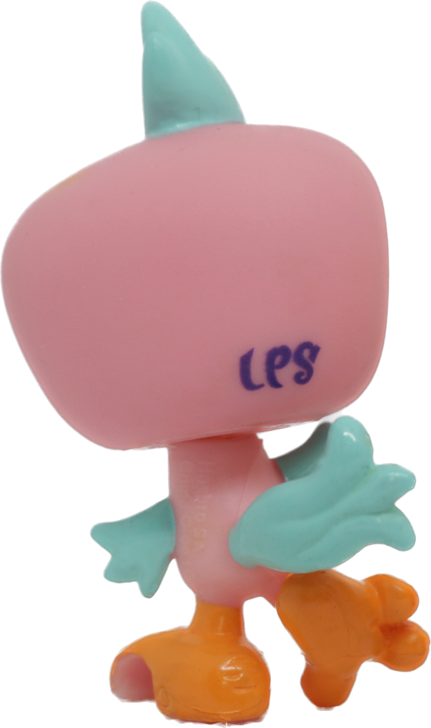 #2319 Parakeet