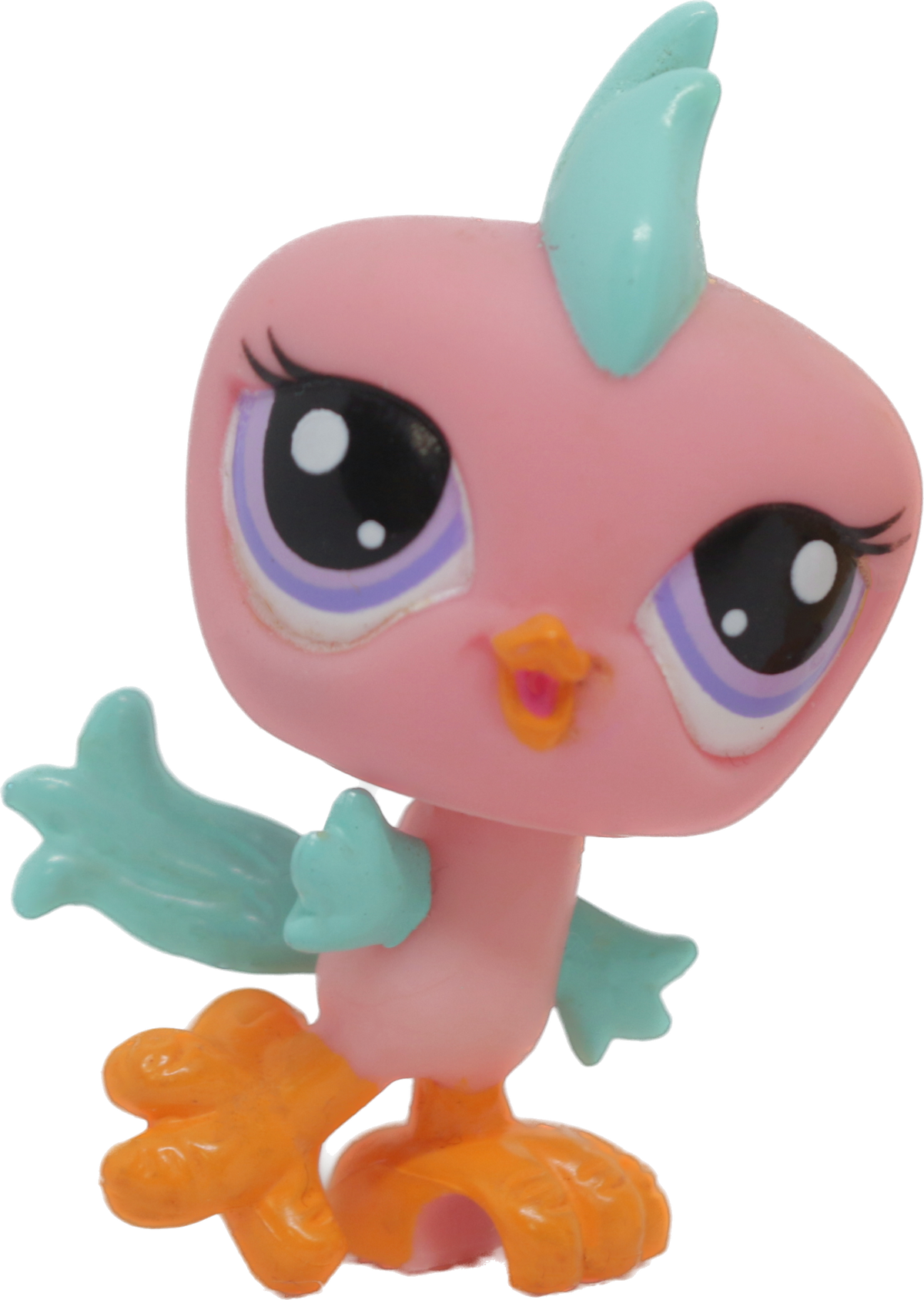 #2319 Parakeet