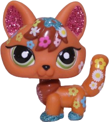 #2341 Fox