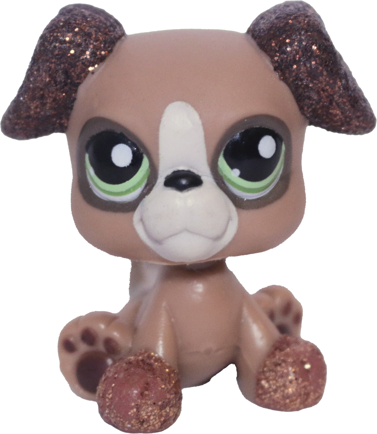#2351 Boxer