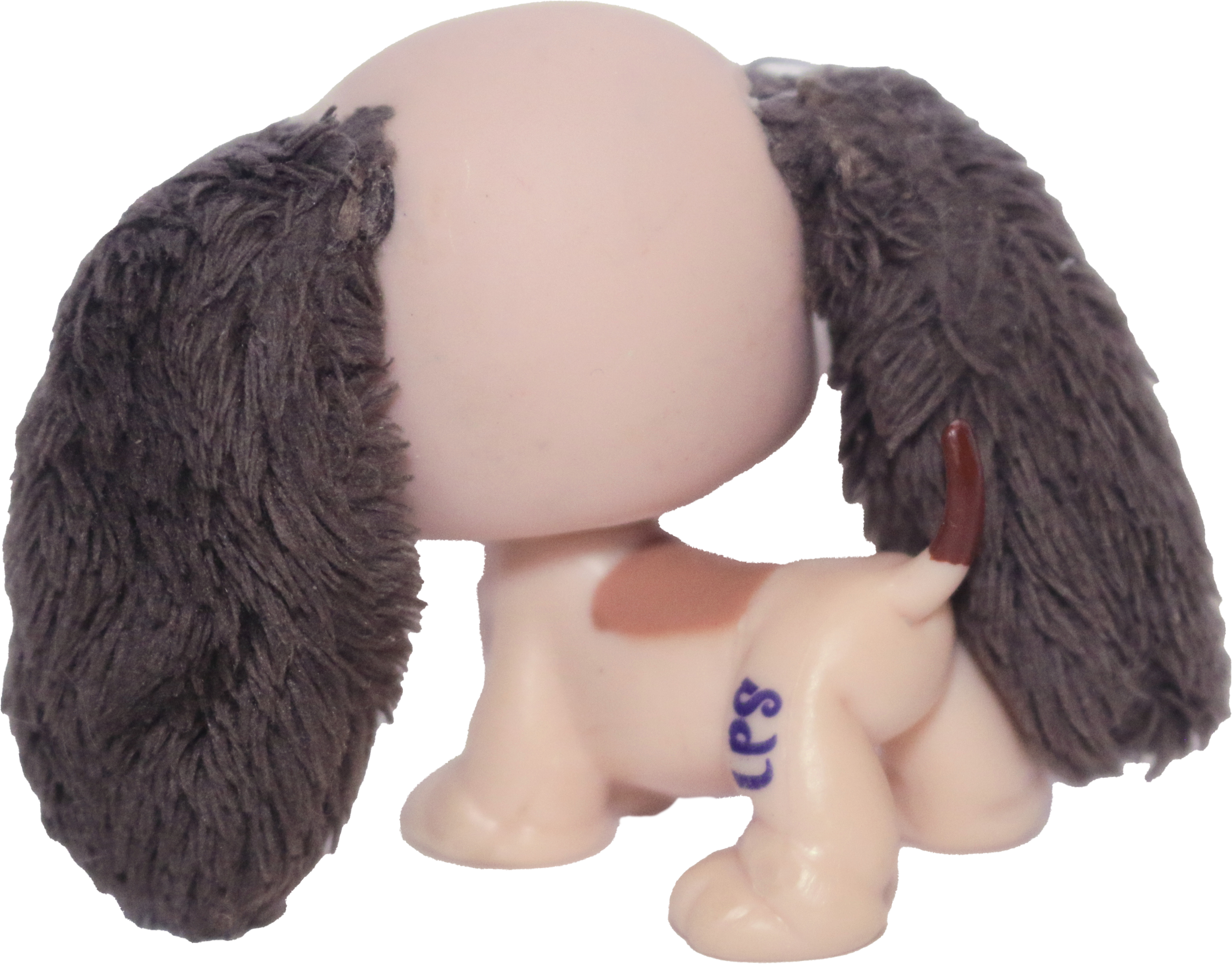#2413 Basset Hound