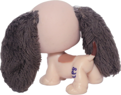 #2413 Basset Hound