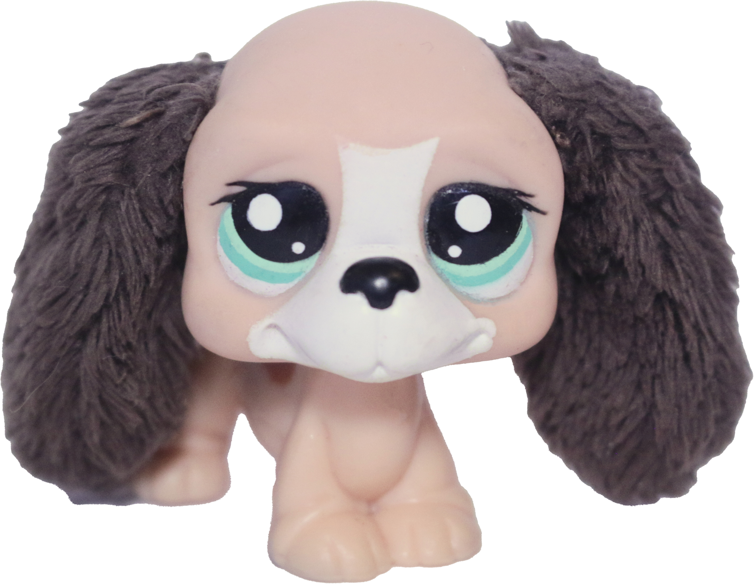 #2413 Basset Hound