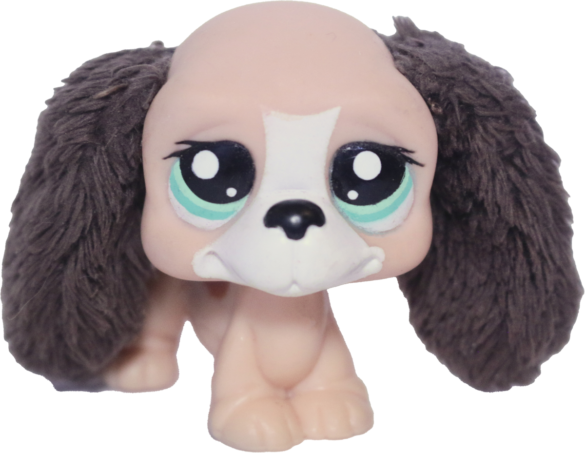 #2413 Basset Hound