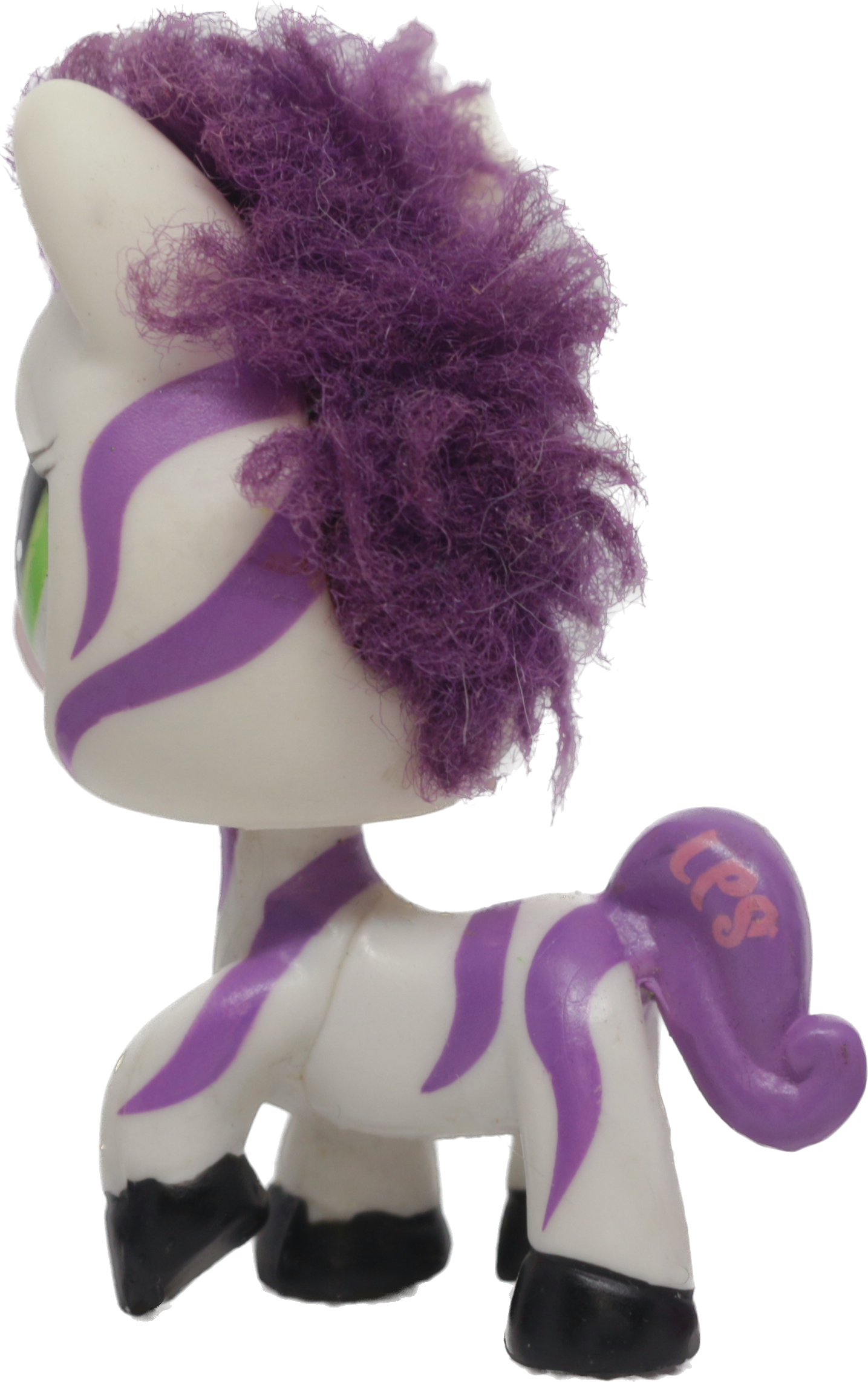 #2470 Zebra