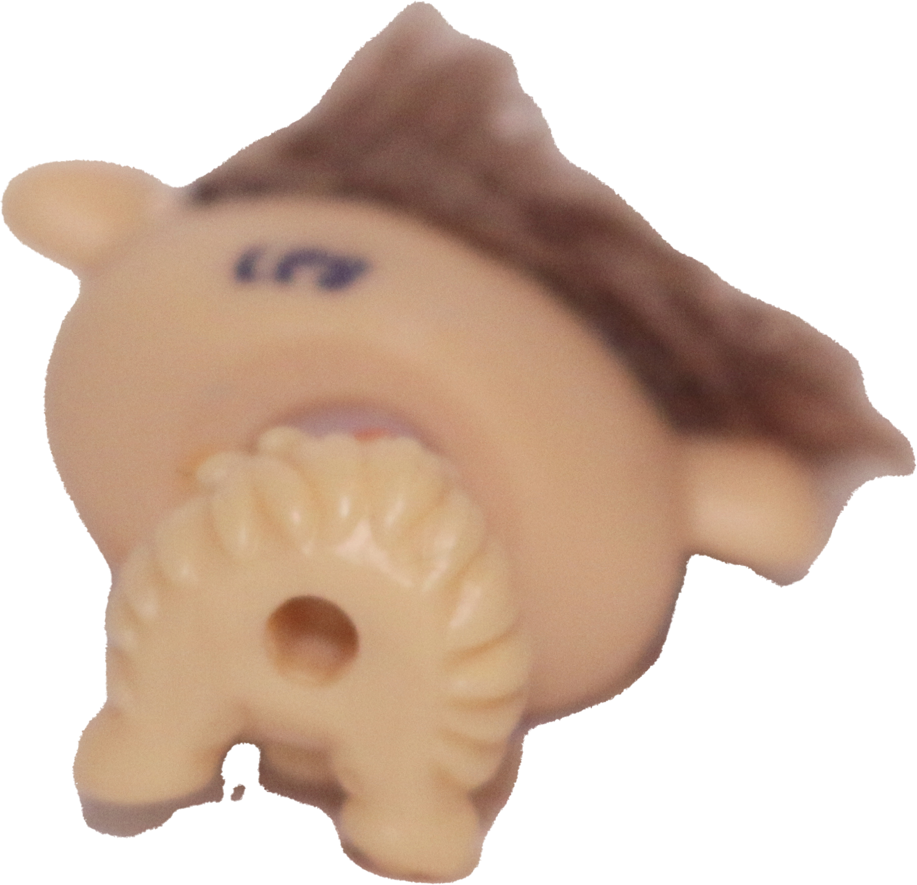 #2488 Guinea Pig