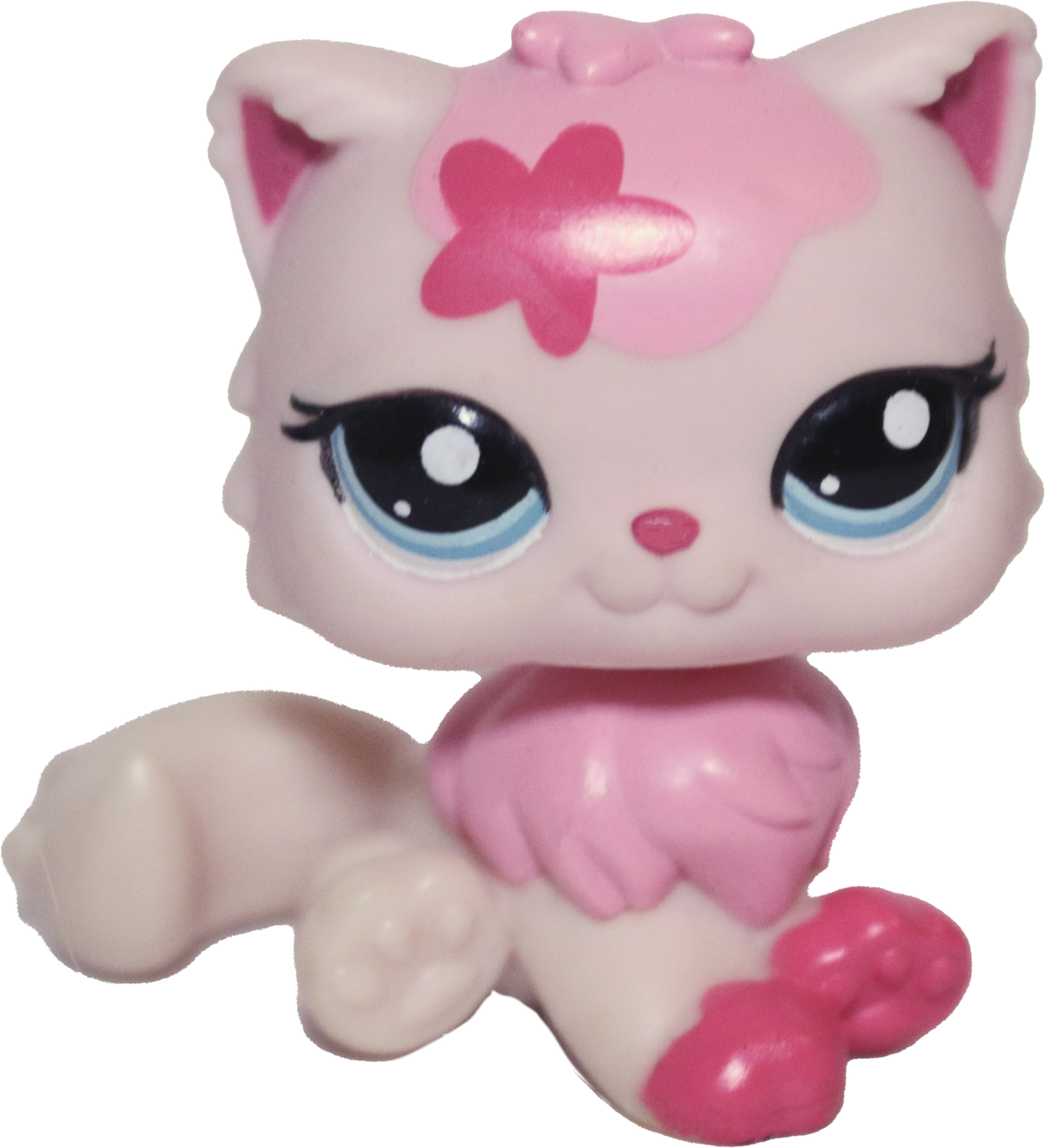 #2532 Persian Cat