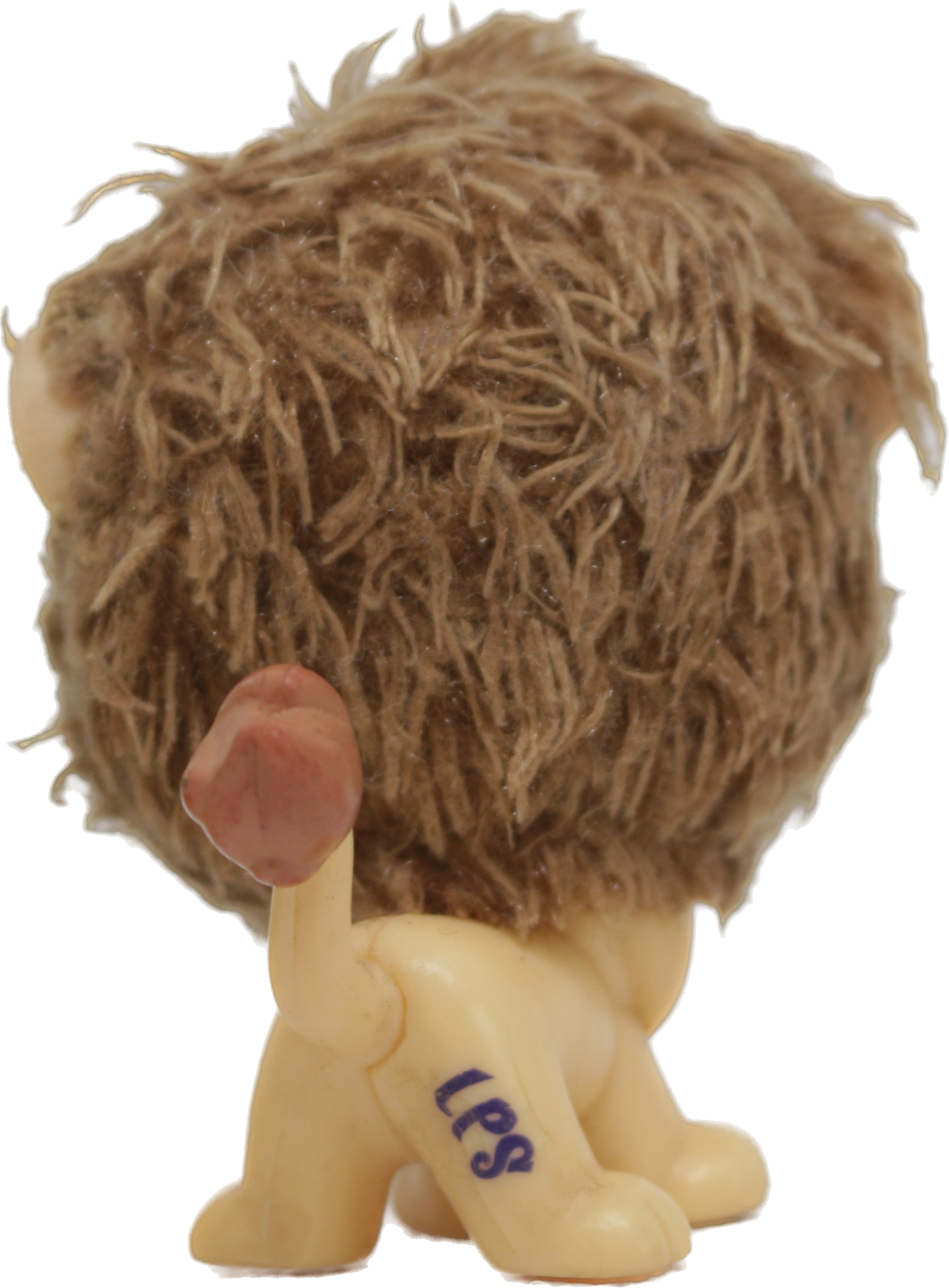 #2574 Lion
