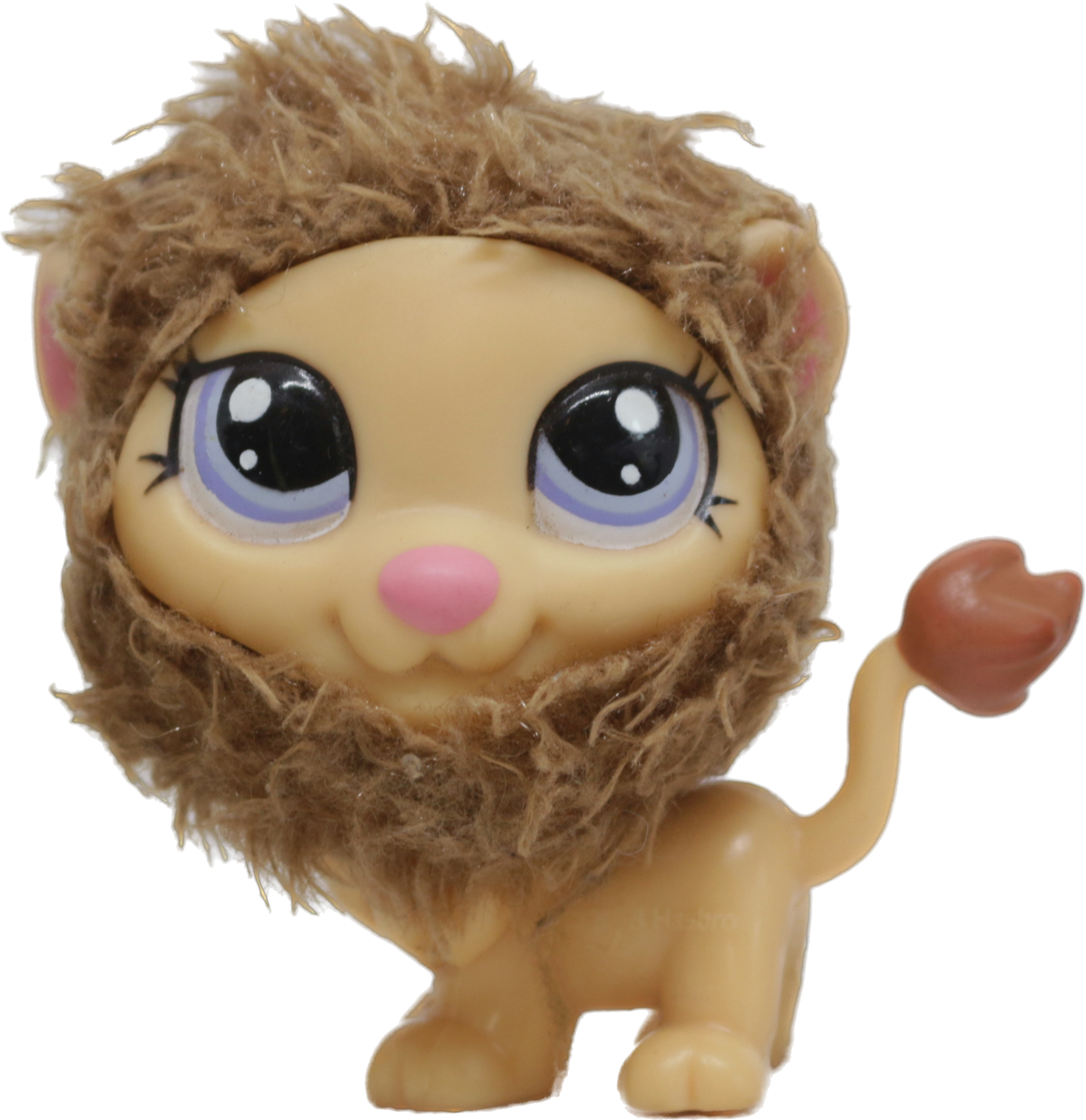 #2574 Lion