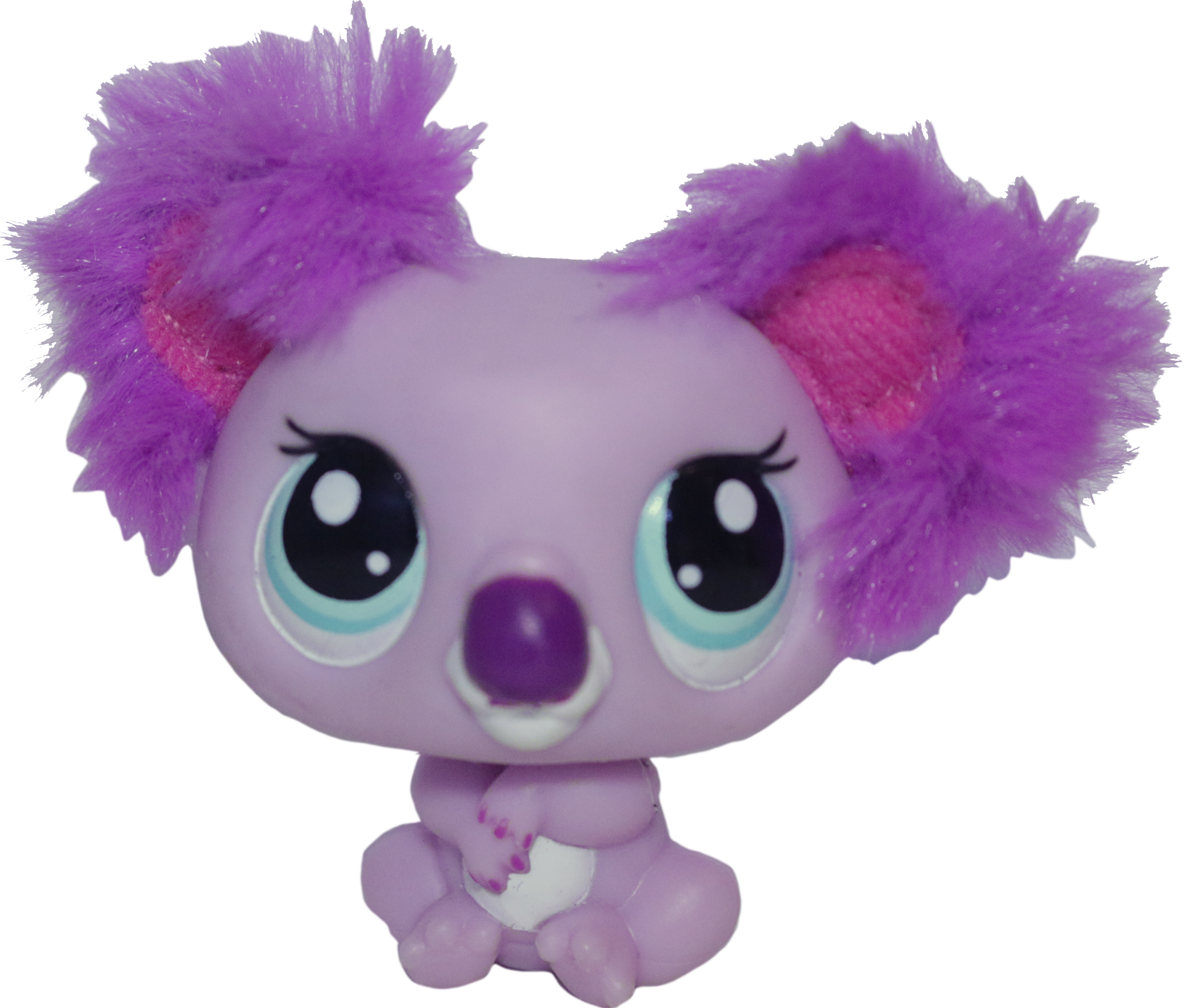 #2578 Koala