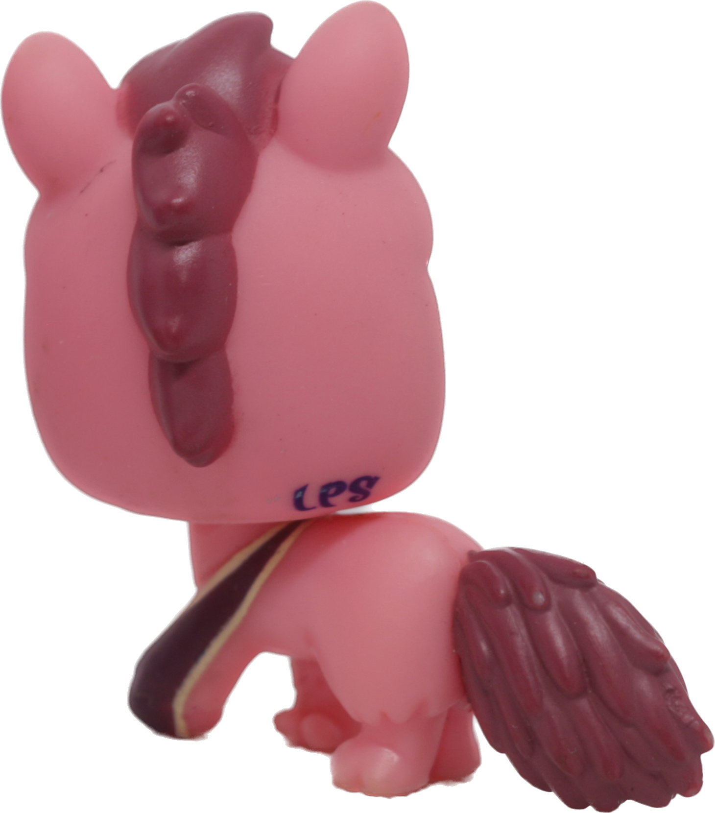 #2581 Anteater