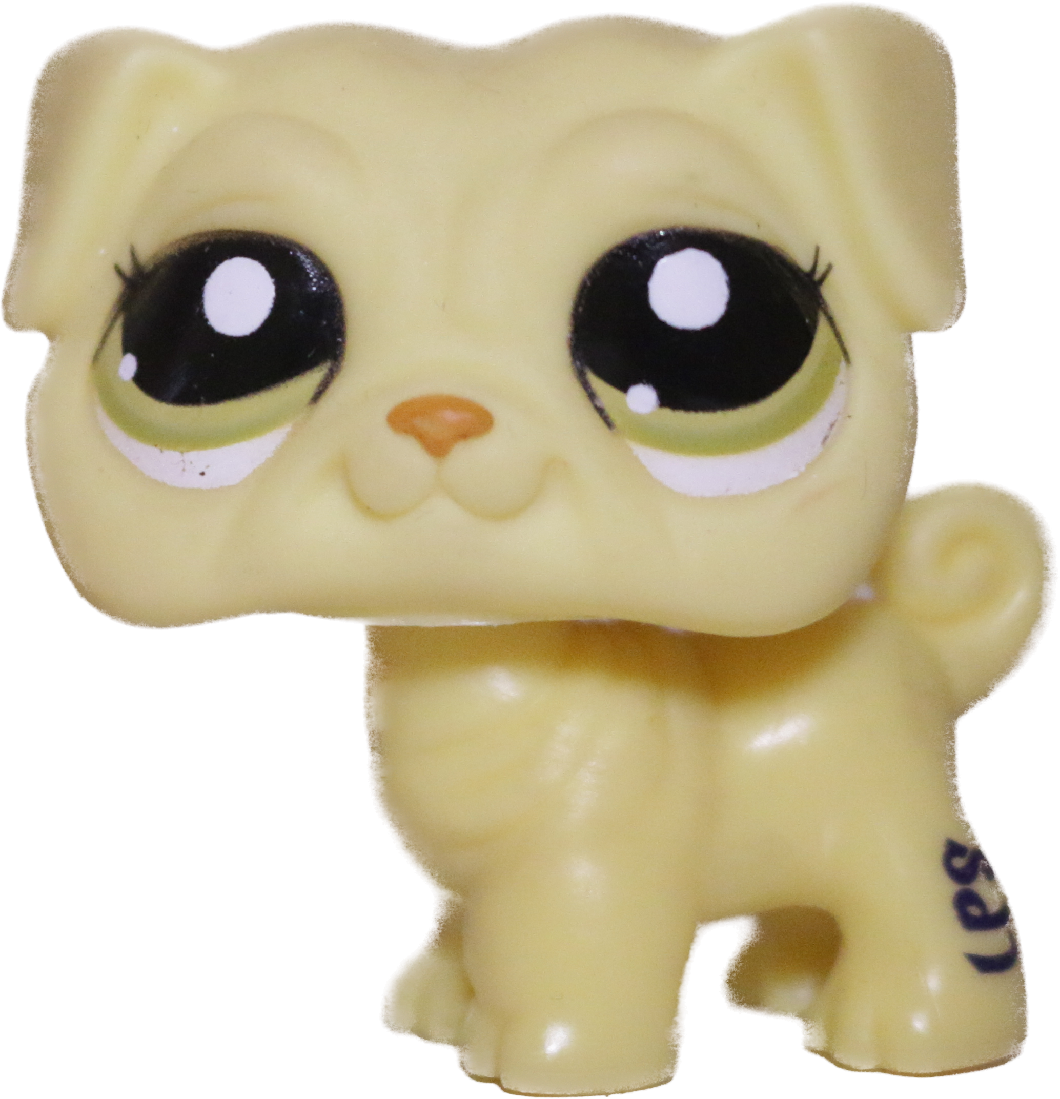 #2589 Pug (Variant)
