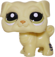 #2589 Pug (Variant)