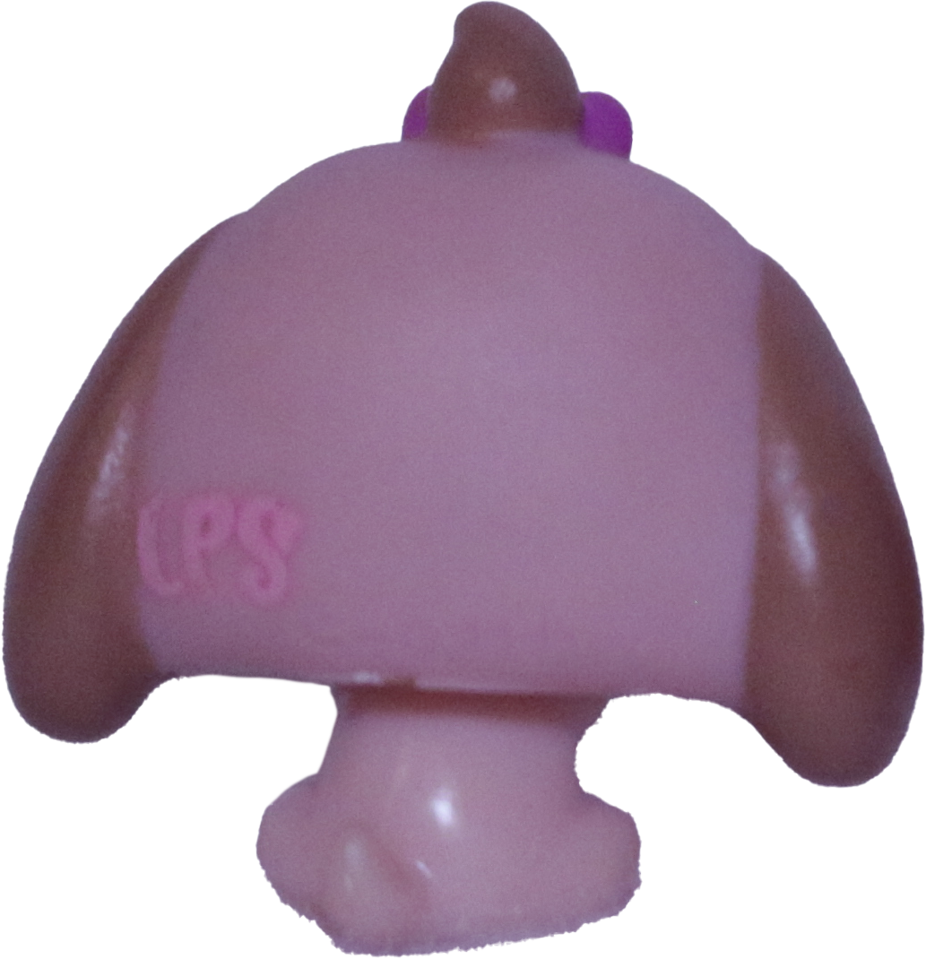 #2626 Baby Dachshund