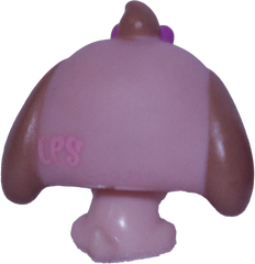 #2626 Baby Dachshund