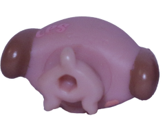 #2626 Baby Dachshund