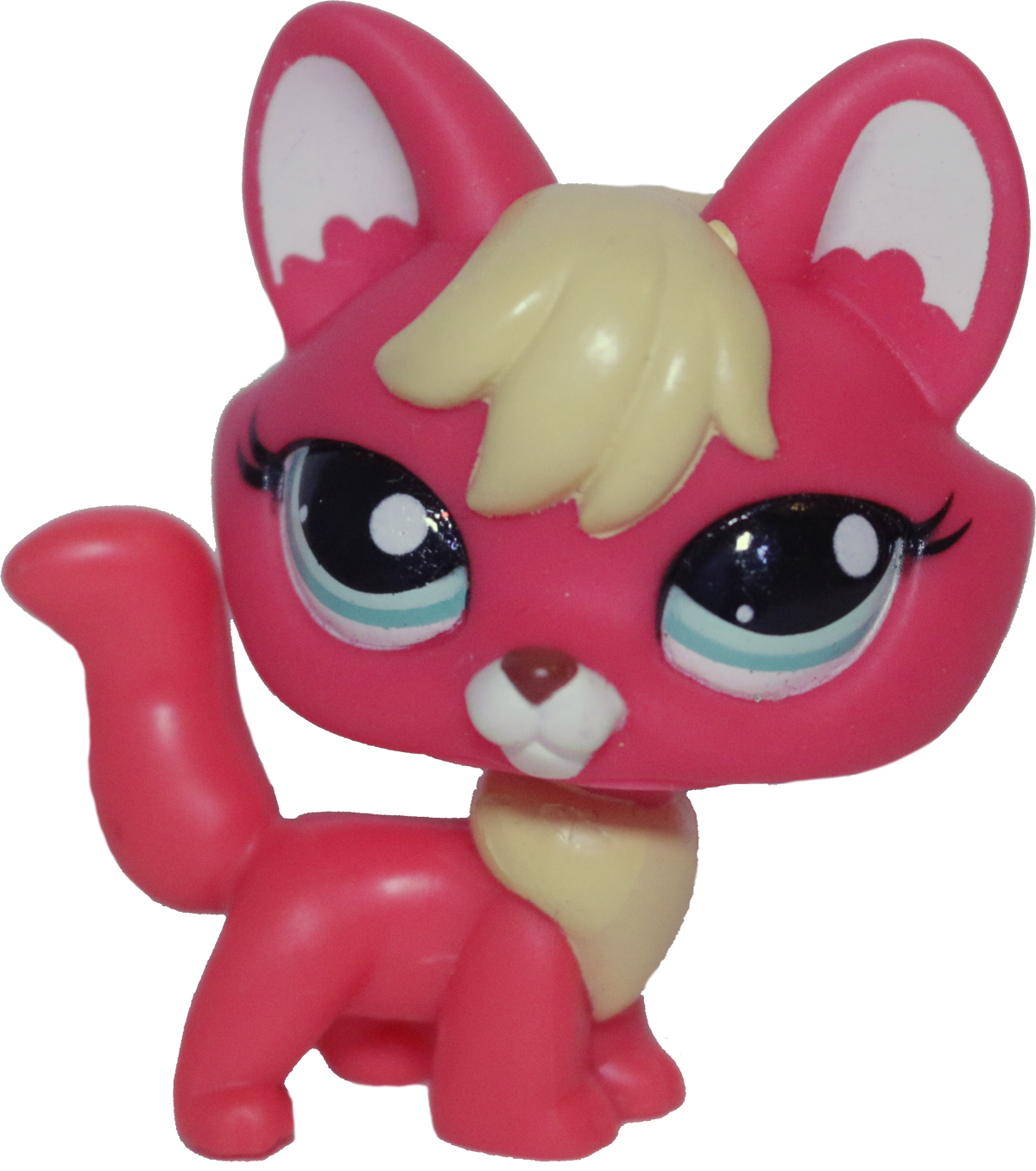 #2642 Fox