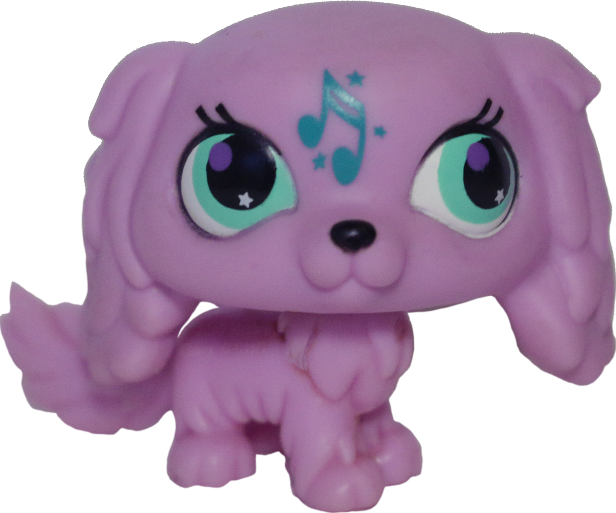#2880 King Charles Spaniel