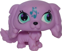 #2880 King Charles Spaniel