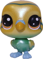 #2-64 Parrot "Edie von Keet"