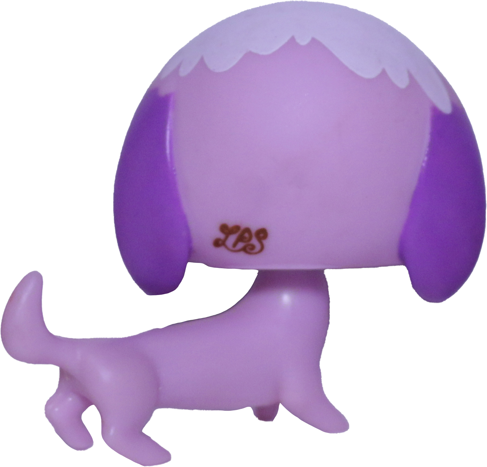 #3004 Dachshund