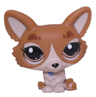 #3567 Corgi