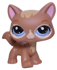 #3578 Destiny Cat